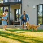 Smiling Beautiful Family of Four Play Fetch flying disc with Happy Golden Retriever Dog on the Backyard Lawn. Idyllic Family Has Fun with Loyal Pedigree Dog Outdoors in Summer House Backyard